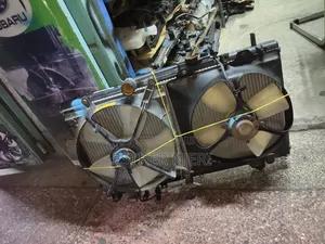 Premio Nyoka Complete Radiator