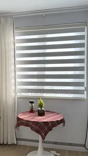 Dual Roller Shades | Transitional Zebra Light Control Blinds