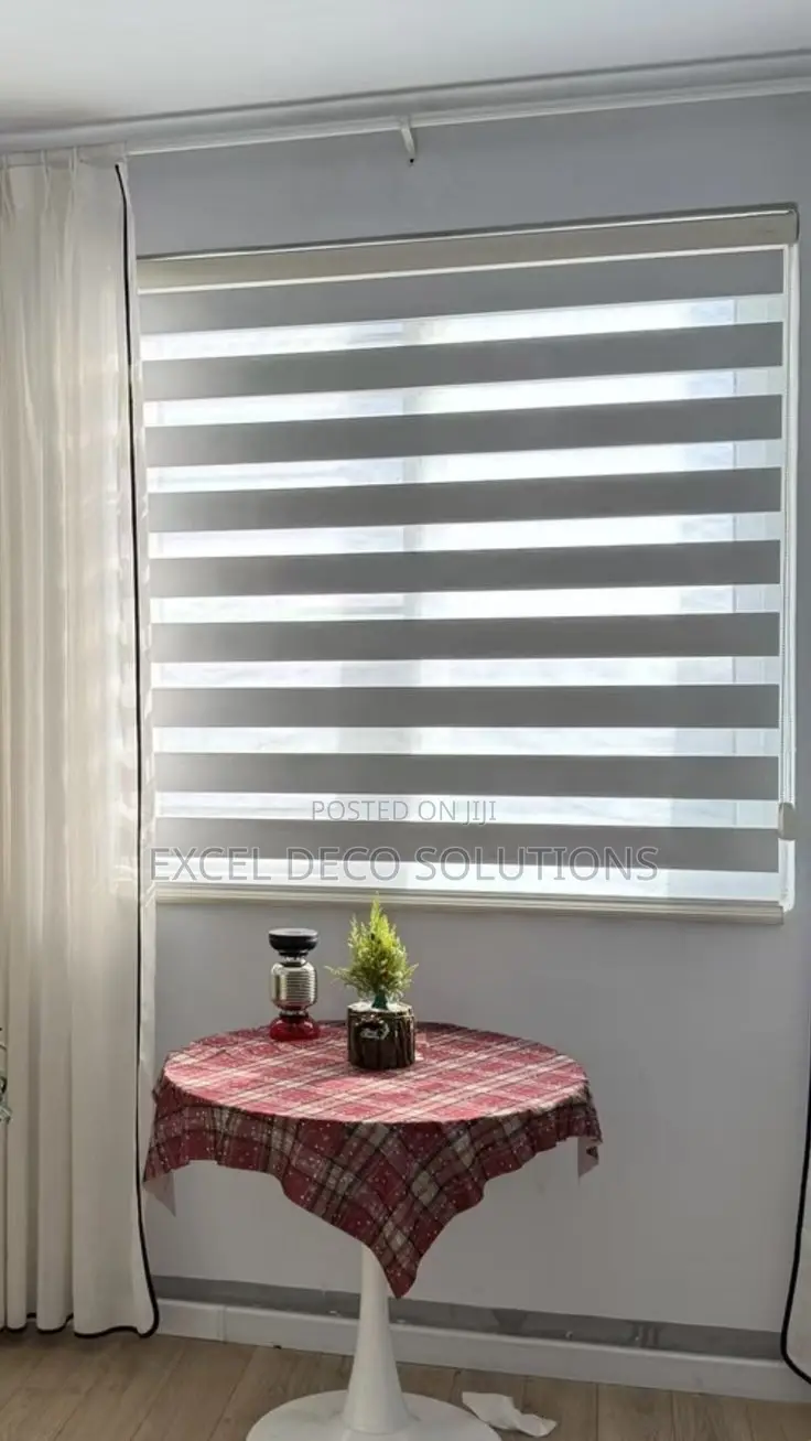Dual Roller Shades | Transitional Zebra Light Control Blinds