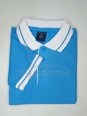 White With Ocen Blue Collar Polo
