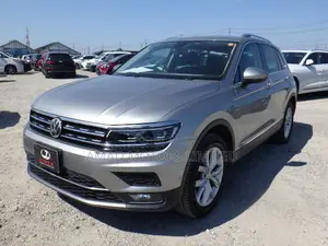 Volkswagen Tiguan 2019 Gray