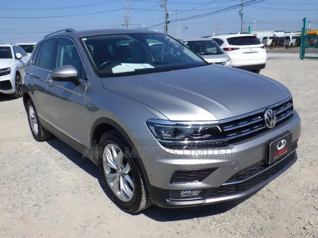 Volkswagen Tiguan 2019 Gray