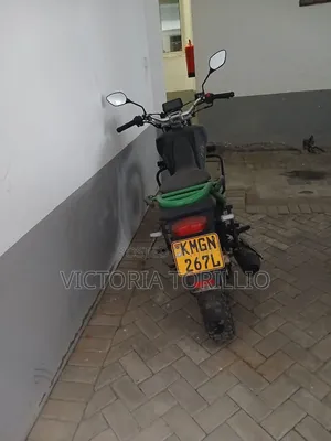 Kibo K250 2024 Green