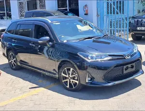 Toyota Corolla Fielder 2019 Matt Black