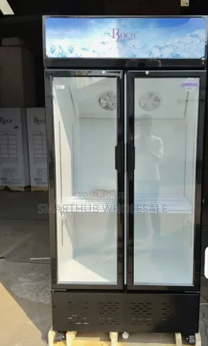 505 LITRES Roch Vertical Showcase Model RSF-680-O
