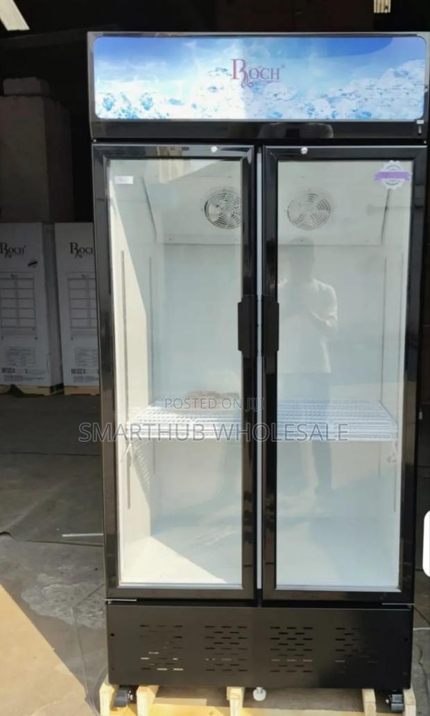 505 LITRES Roch Vertical Showcase Model RSF-680-O - thumbnail 2