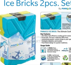Pinnacle Ice Bricks TPX9001 2pcs 330ml