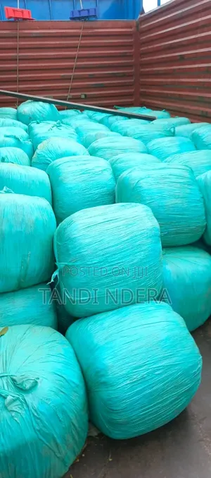 Corne Silage
