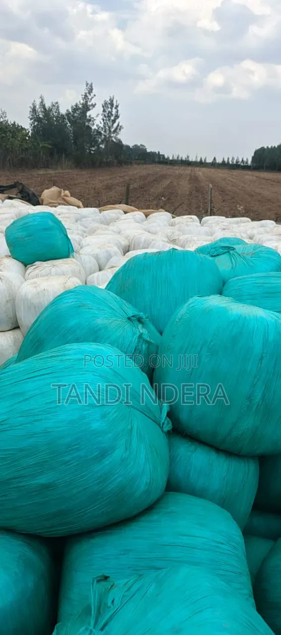 Corne Silage