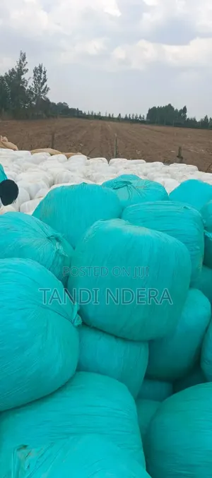 Corne Silage