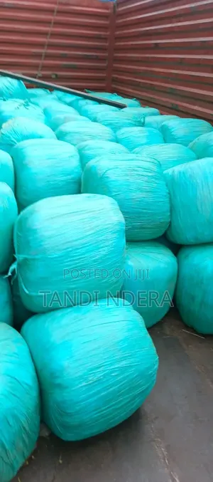 Corne Silage