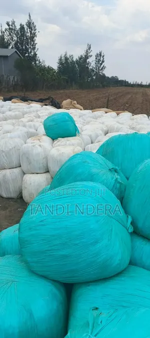Corne Silage