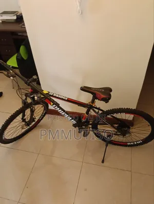 Bicycle Teenager Bike