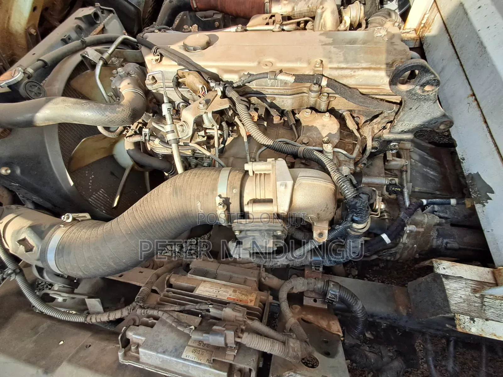 Isuzu NQR, 2021 White