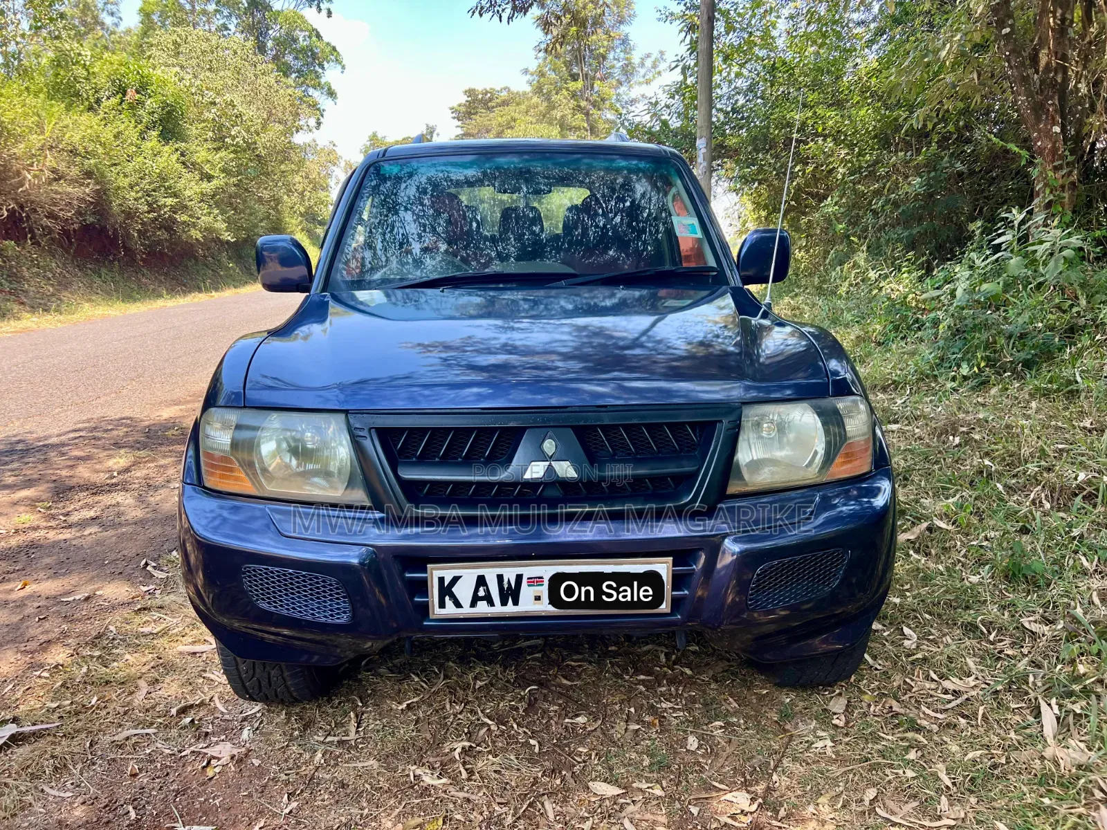 Mitsubishi Pajero 2005 Blue