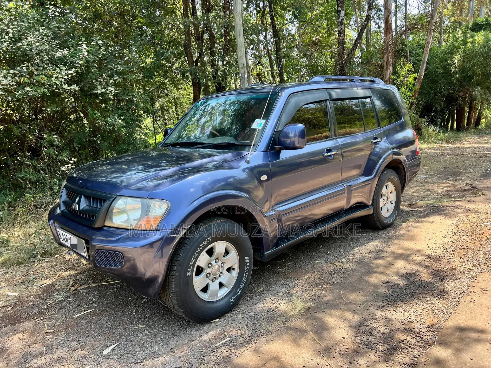 Mitsubishi Pajero 2005 Blue