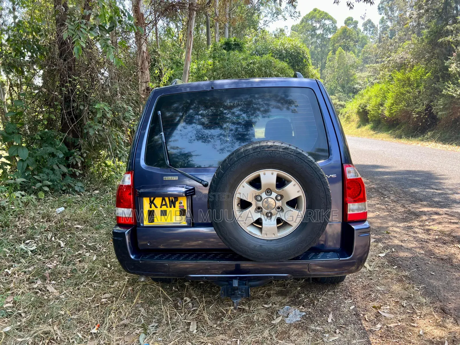 Mitsubishi Pajero 2005 Blue