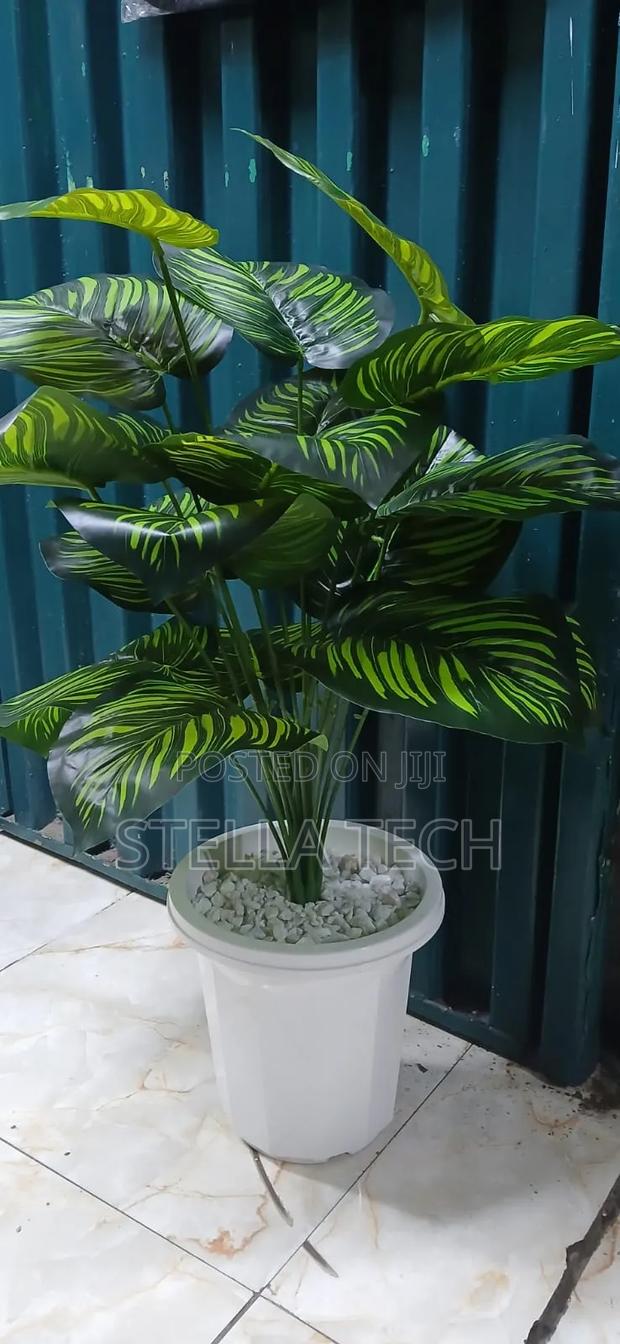 RESTOCKED ! Artificial Home Decor Plants Now Available.
