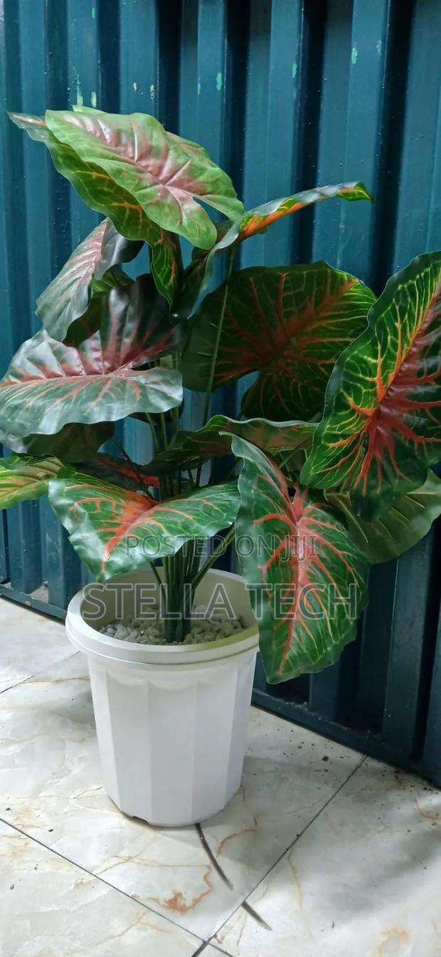 RESTOCKED ! Artificial Home Decor Plants Now Available. - thumbnail 2