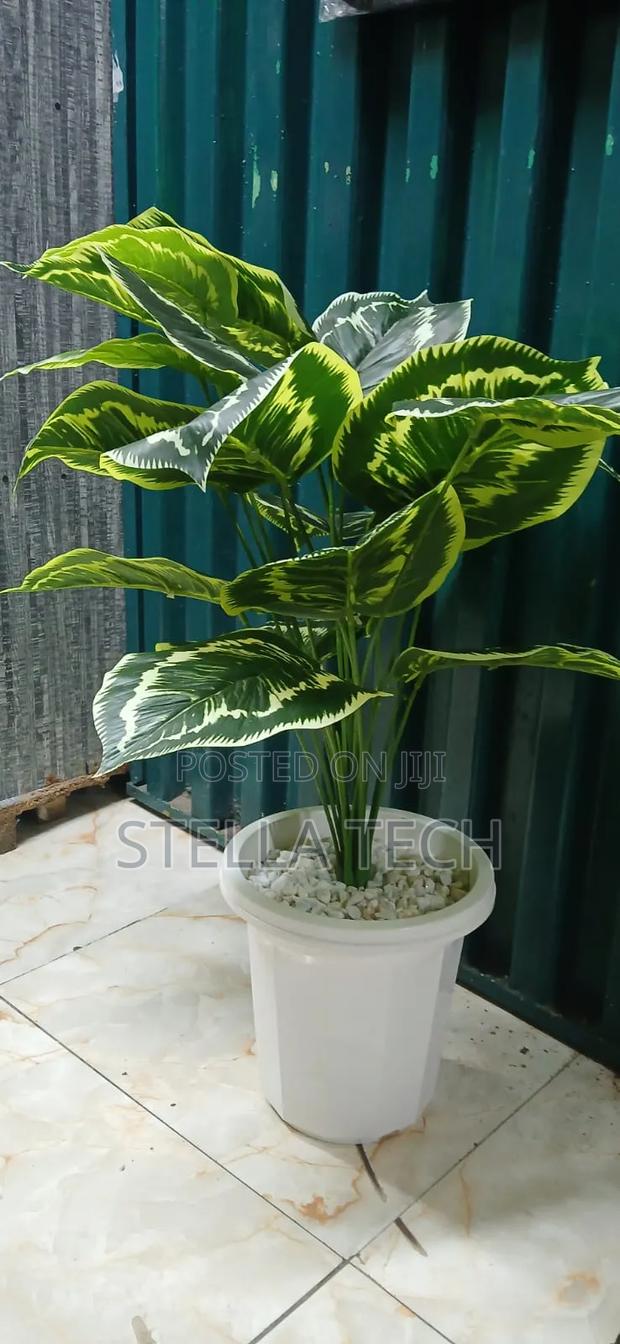 RESTOCKED ! Artificial Home Decor Plants Now Available. - thumbnail 3