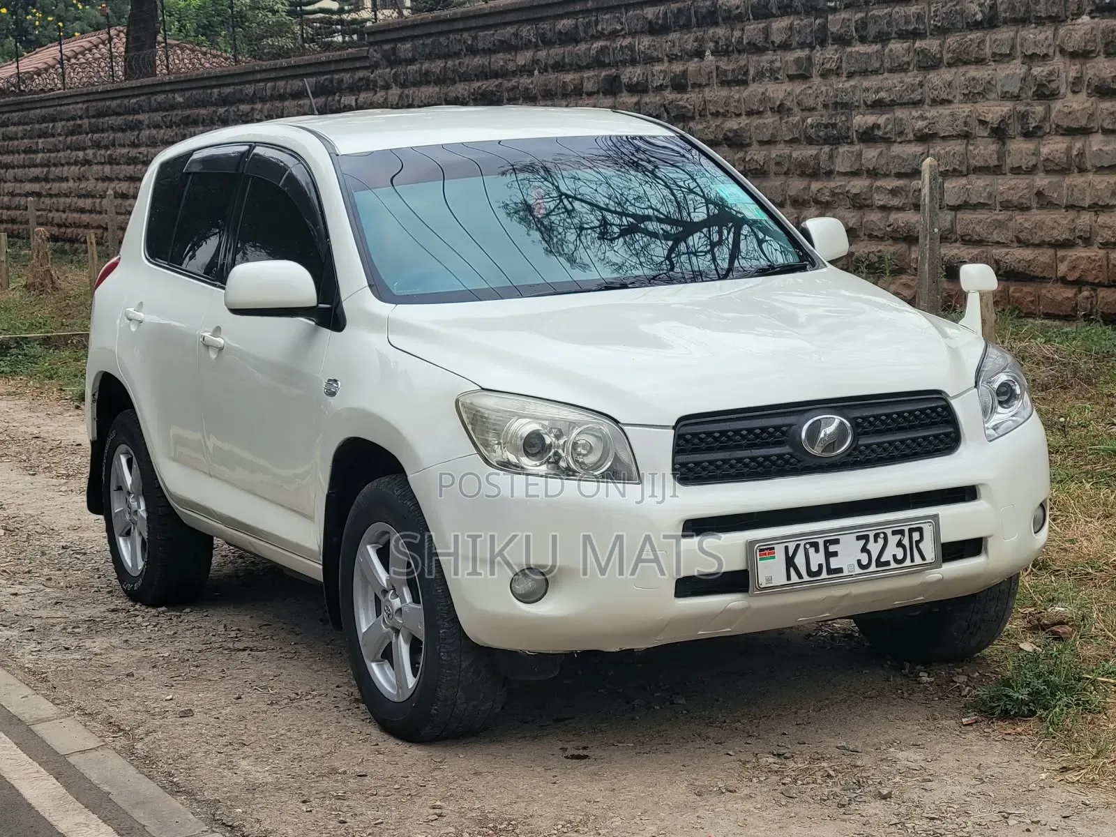 Toyota RAV4 2009 Pearl