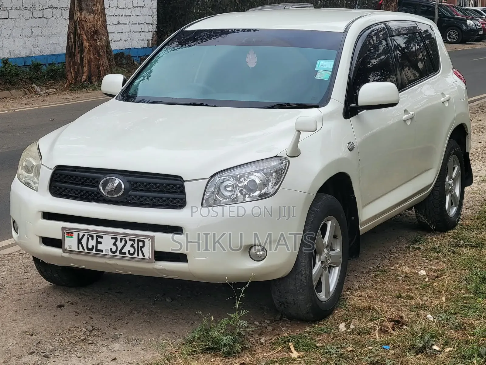 Toyota RAV4 2009 Pearl