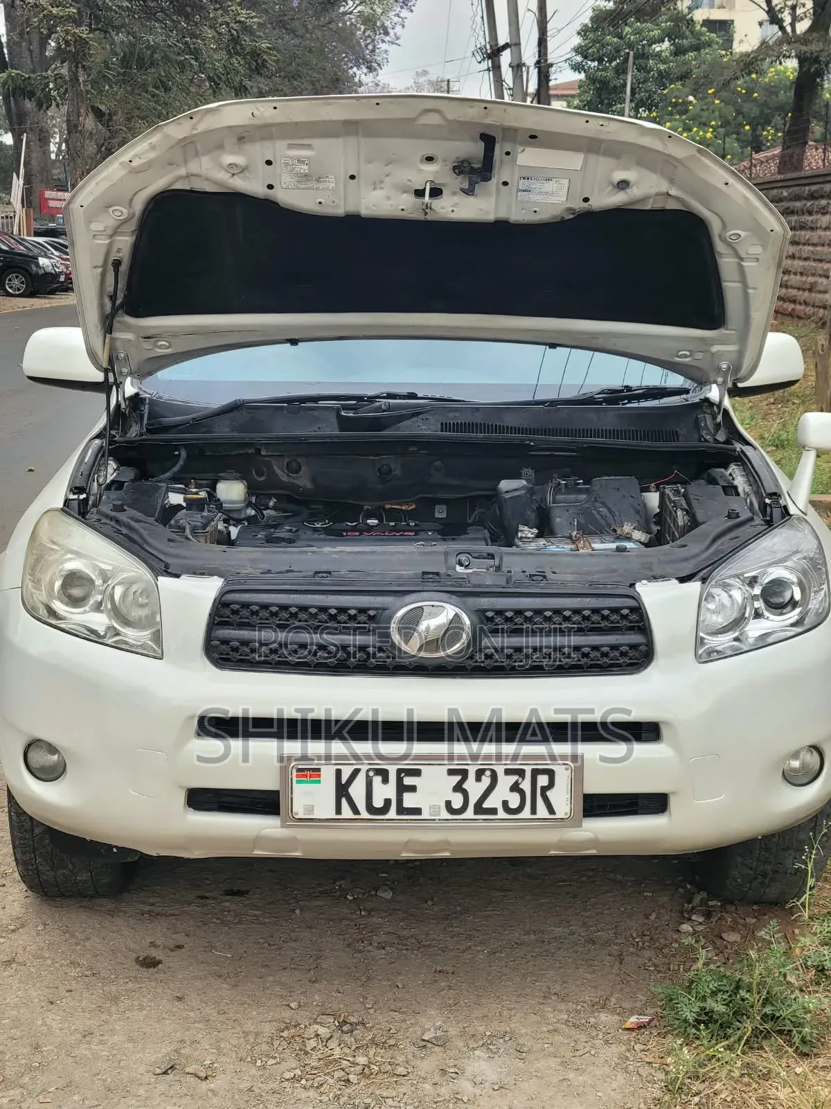 Toyota RAV4 2009 Pearl