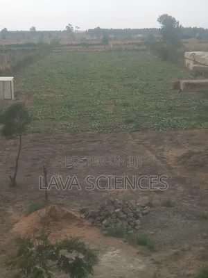 1 Acre and 1/4 Land for Sale in Kajiado Near Rockfield High School