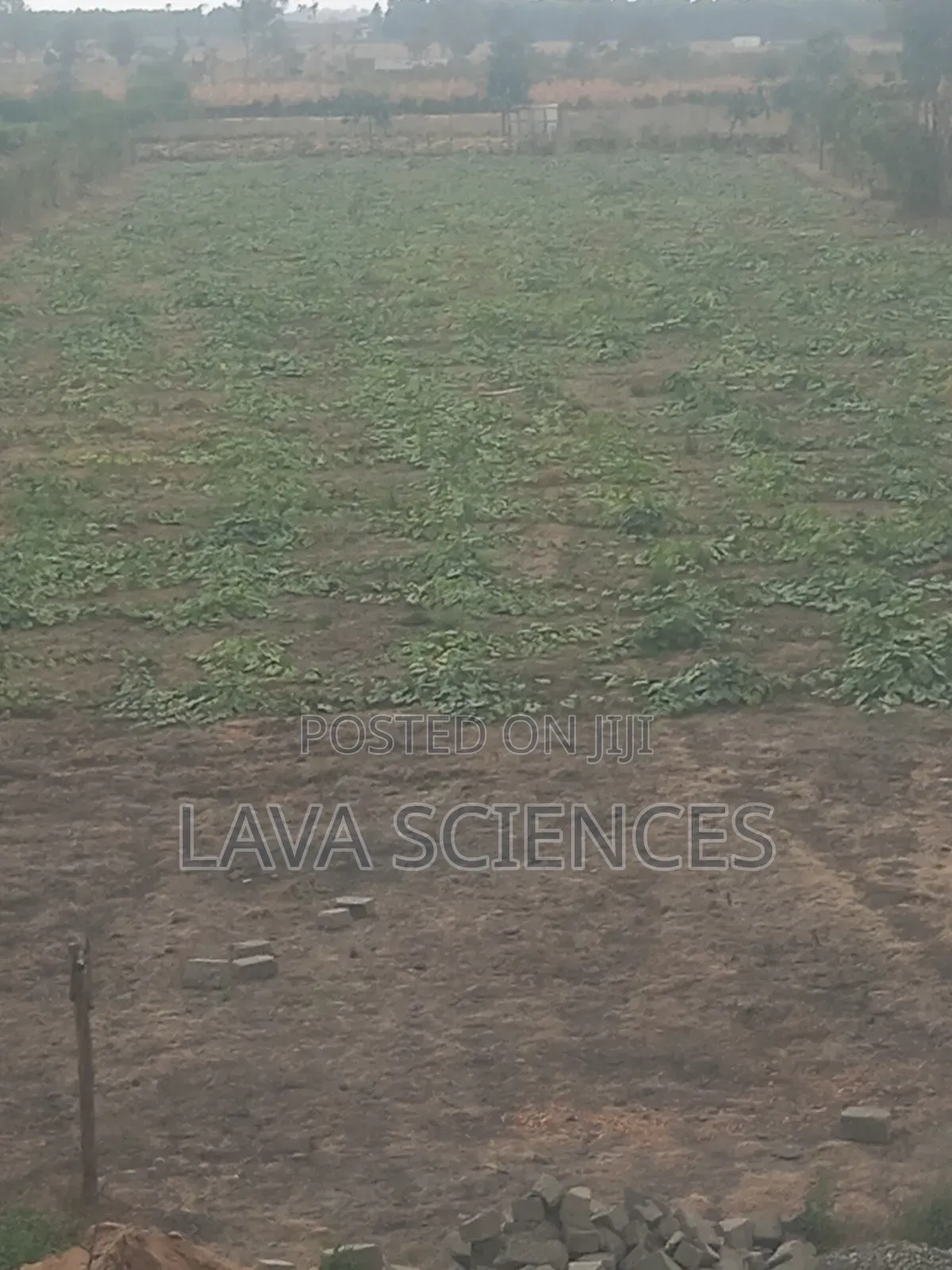 1 Acre and 1/4 Land for Sale in Kajiado Near Rockfield High School