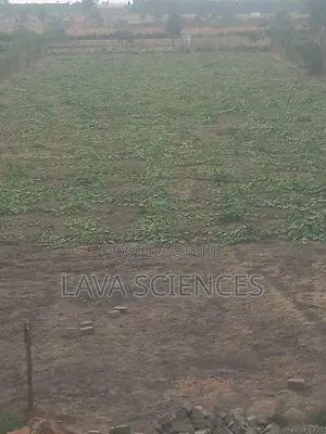 1 Acre and 1/4 Land for Sale in Kajiado Near Rockfield High School
