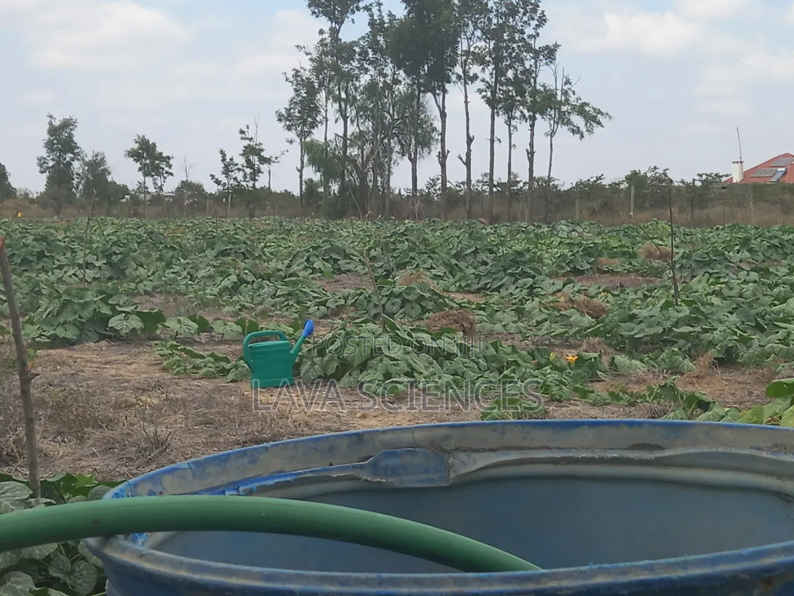 1 Acre and 1/4 Land for Sale in Kajiado Near Rockfield High School