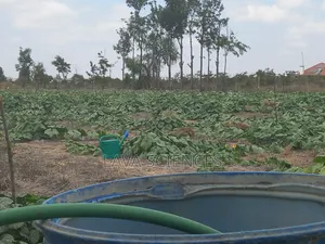 1 Acre and 1/4 Land for Sale in Kajiado Near Rockfield High School