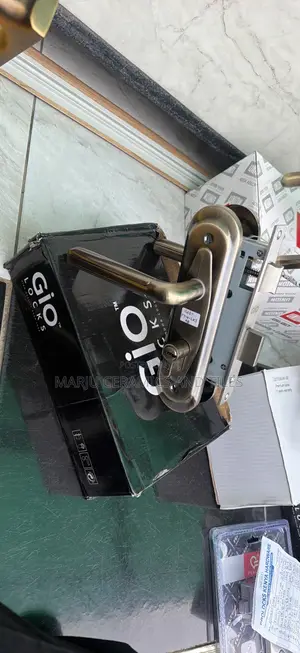 Gio Loc Internal and External Door