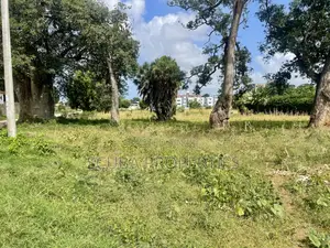 Prime Eighth-Acre Plots Now Selling -Sun Park Estate Malindi