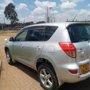Toyota RAV4 2007 Gray