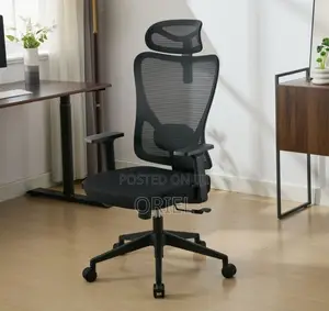 Office Chair : Orthopedic Chair for Staff