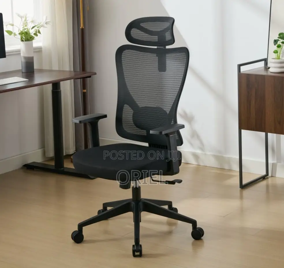 Office Chair : Orthopedic Chair for Staff