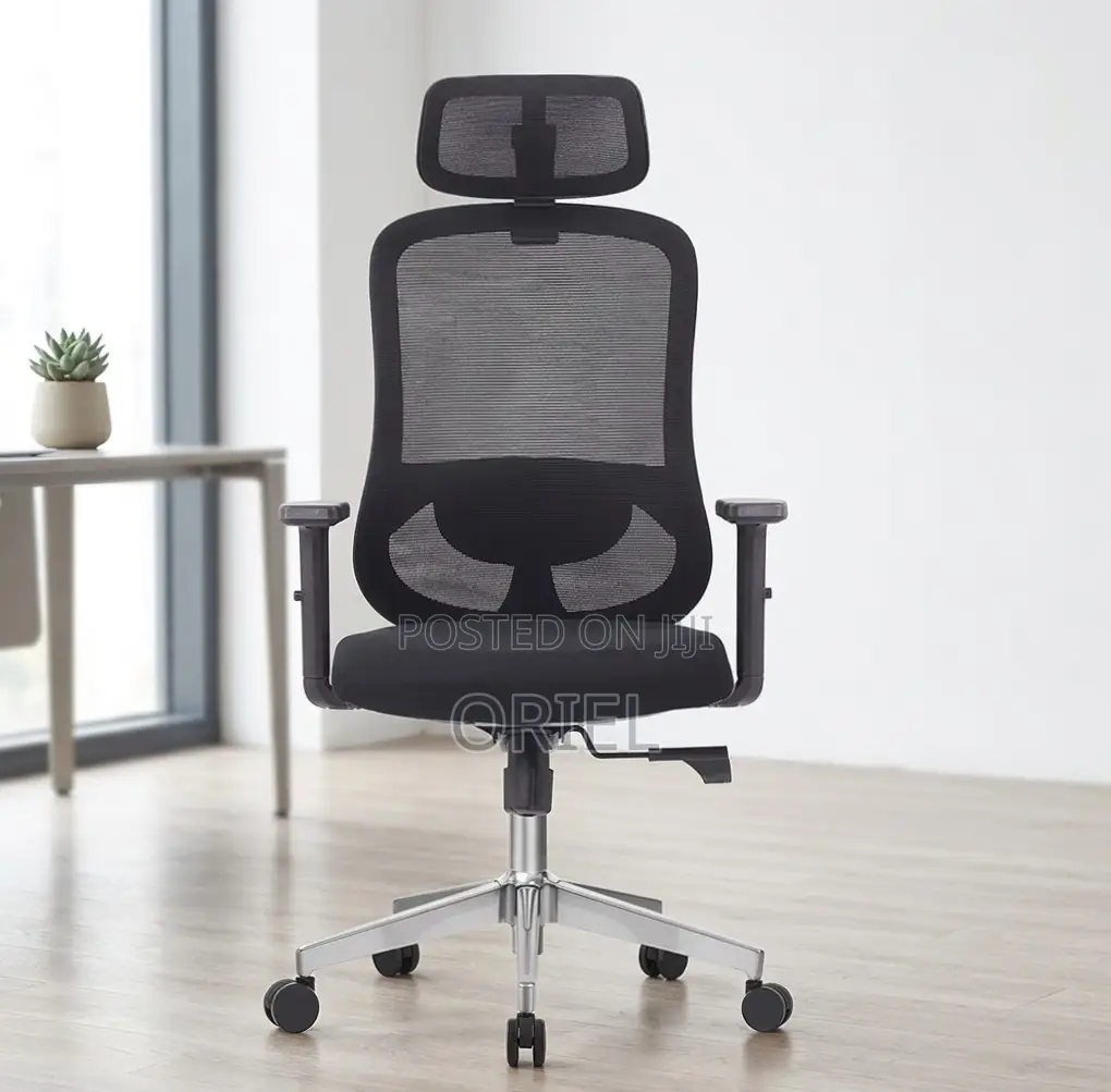 Office Chair : Orthopedic Chair for Staff
