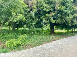 Prime 1/8-Acre Second Row Plots for Sale Casuarina,Malindi
