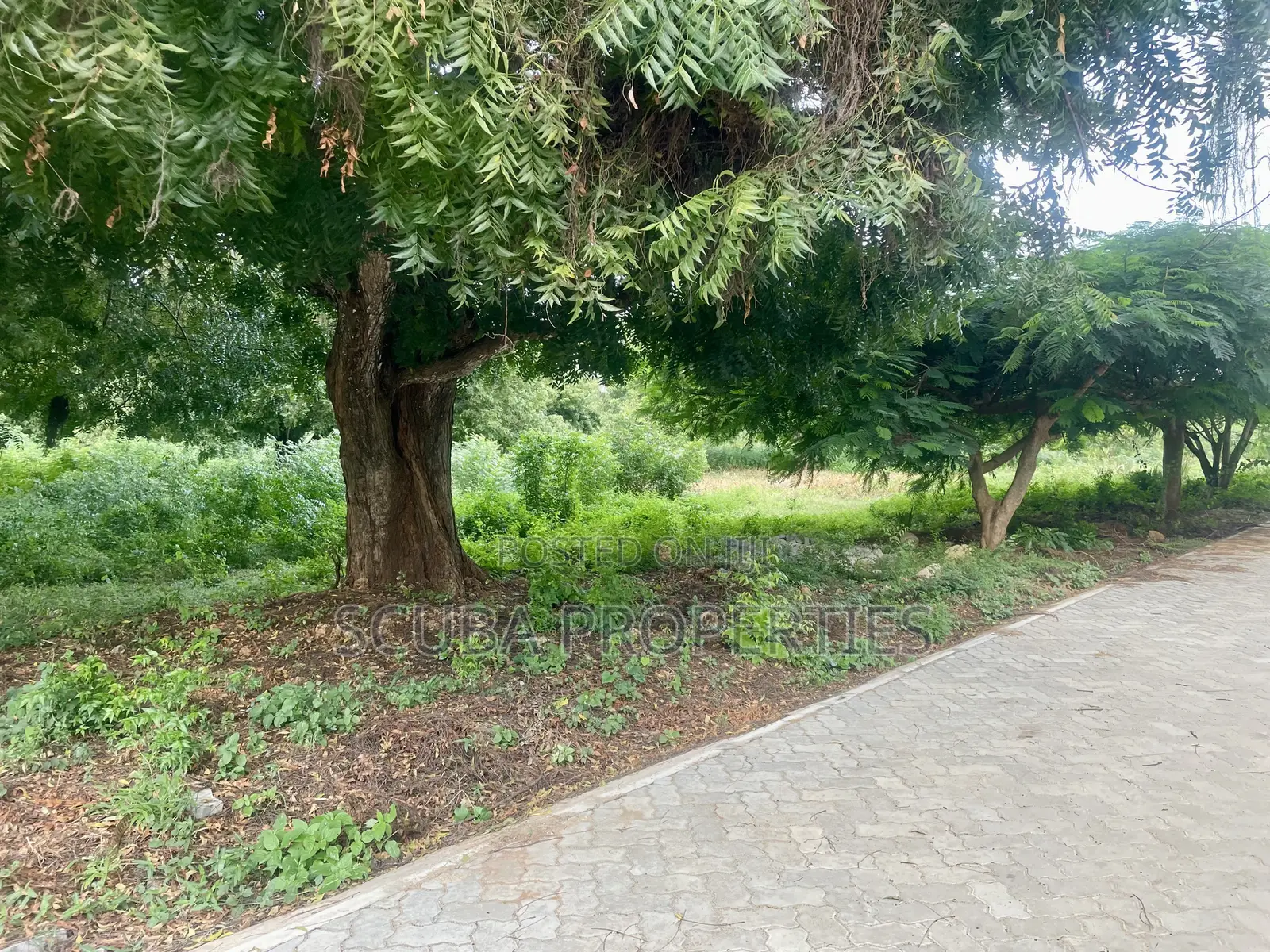 Prime 1/8-Acre Second Row Plots for Sale Casuarina,Malindi