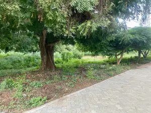 Prime 1/8-Acre Second Row Plots for Sale Casuarina,Malindi