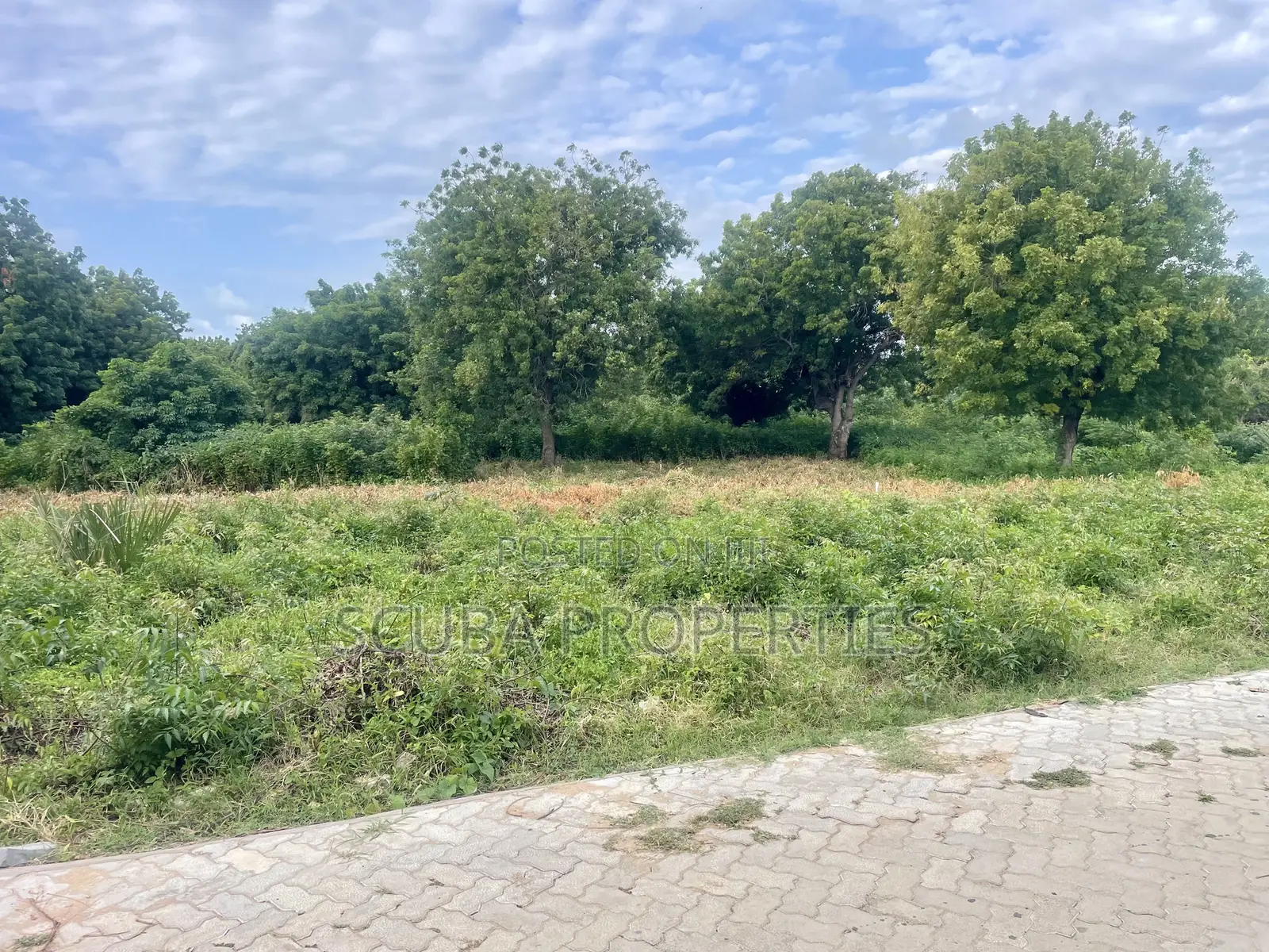 Prime 1/8-Acre Second Row Plots for Sale Casuarina,Malindi