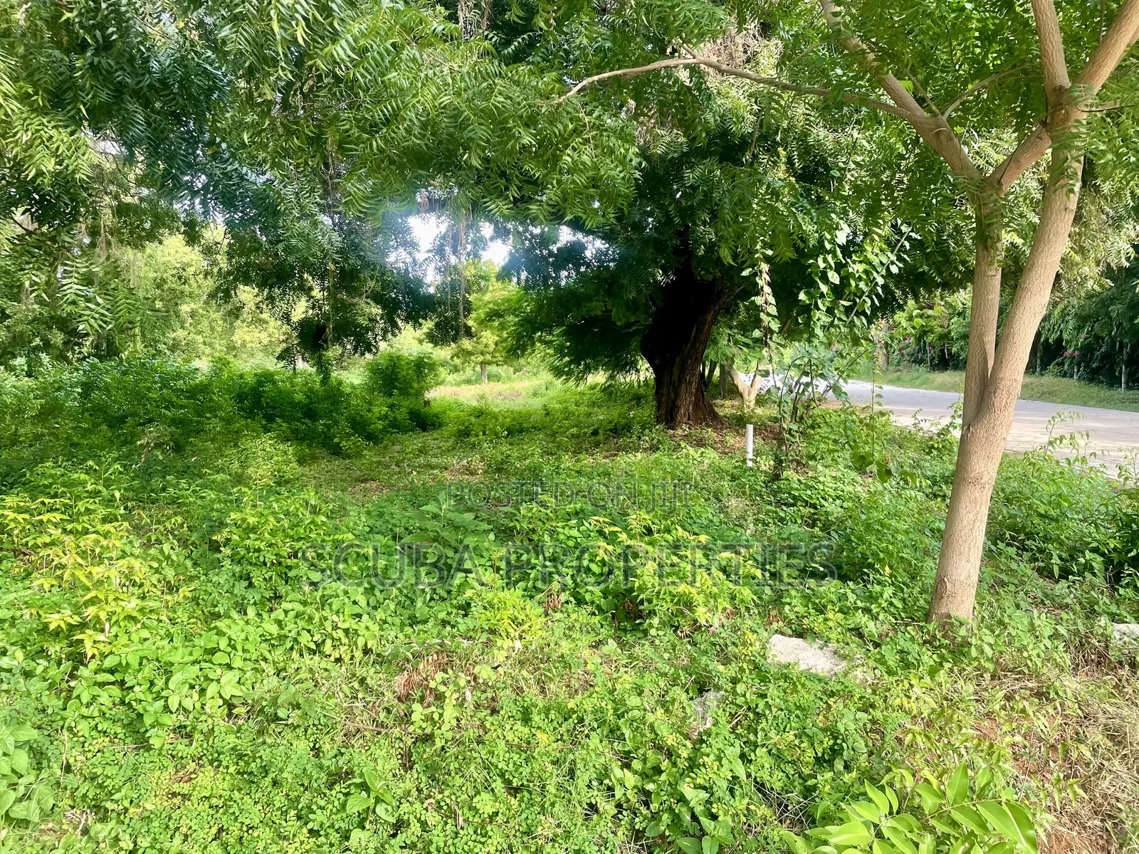 Prime 1/8-Acre Second Row Plots for Sale Casuarina,Malindi