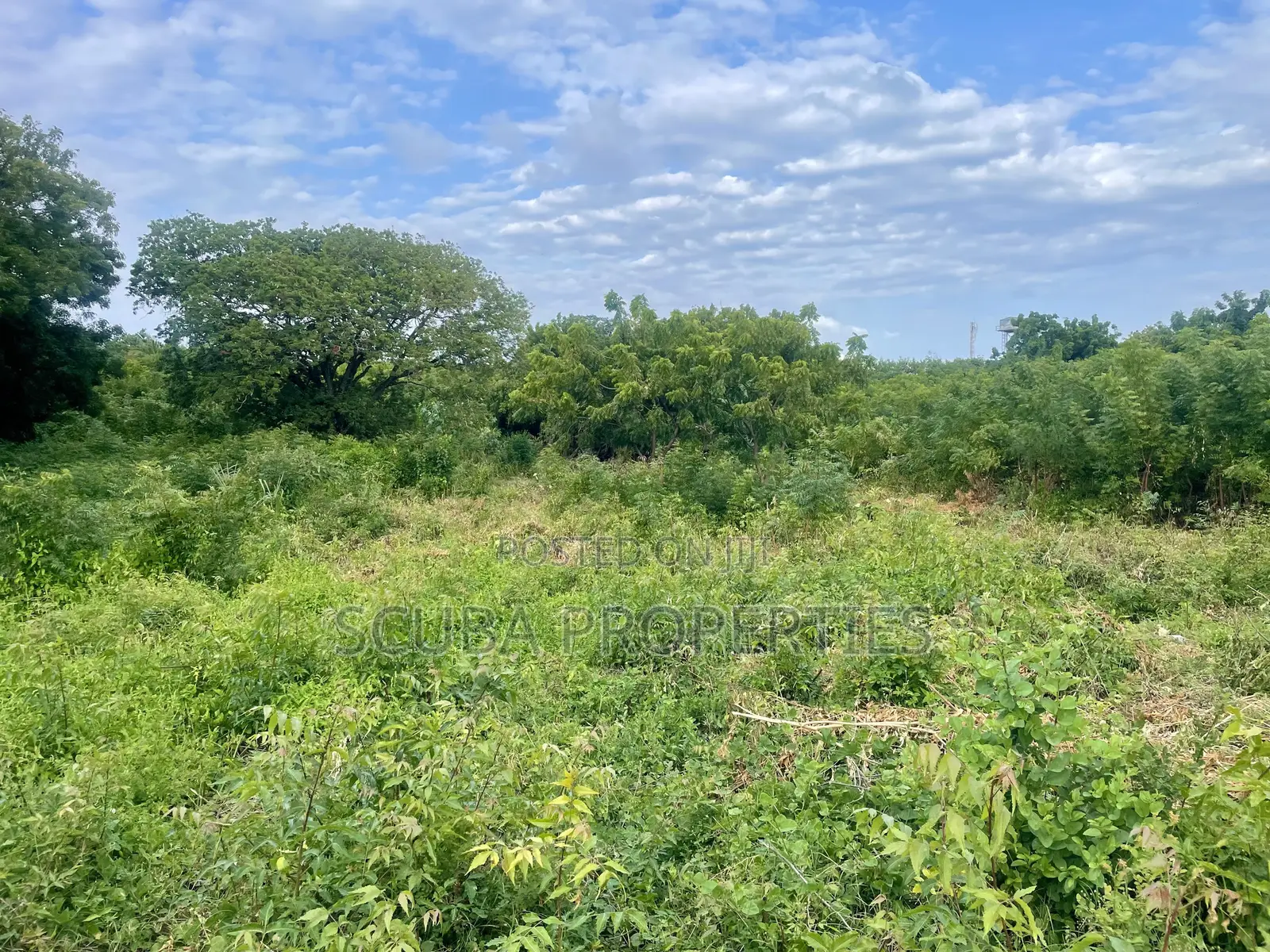 Prime 1/8-Acre Second Row Plots for Sale Casuarina,Malindi