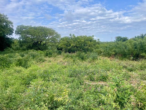 Prime 1/8-Acre Second Row Plots for Sale Casuarina,Malindi - thumbnail 9