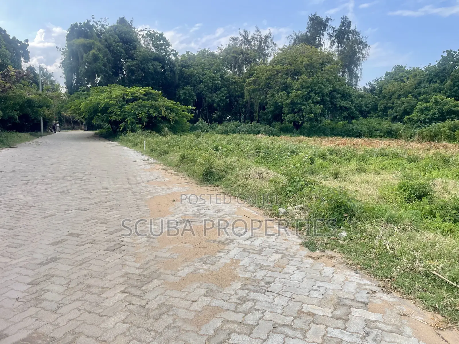 Prime 1/8-Acre Second Row Plots for Sale Casuarina,Malindi