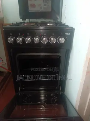 Mika Standing Cooker