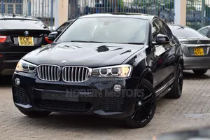 BMW X4 2019 Matt Black