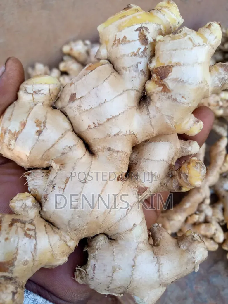 Ugandan Ginger