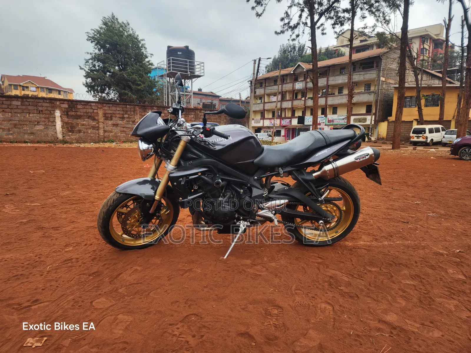 Triumph 2011 Black